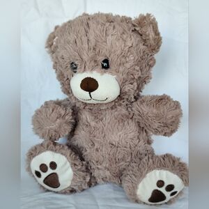 Fiesta 9.5" Sitting Paw Print Bear